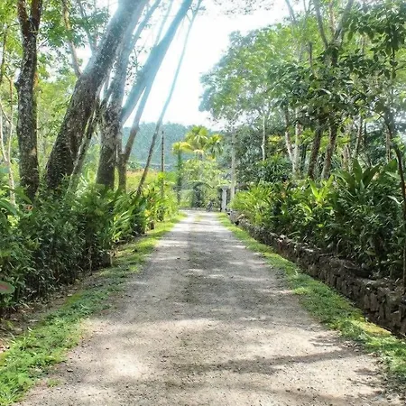 Plantation Villa-3